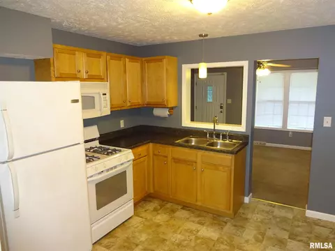 825 N Ohio Ave, Springfield, IL 62702 photo 5