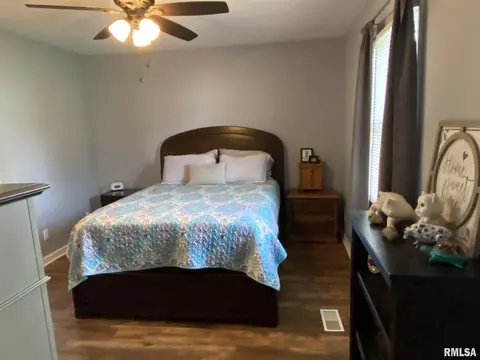 806 W Monroe St, Athens, IL 62613 photo 21
