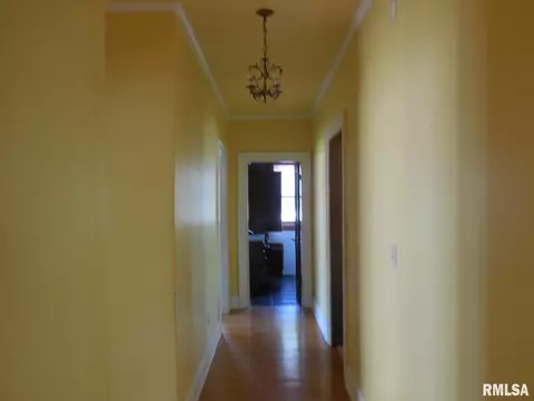 102 E Clay St, Roodhouse, IL 62082 photo 16