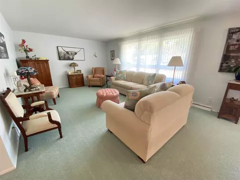 2117 S Lincoln Ave, Springfield, IL 62704 photo 5