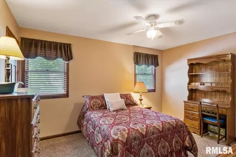 316 Old Tippecanoe Dr, Springfield, IL 62711 photo 23