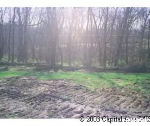 13 Deer Meadow Ln, Petersburg, IL 62675