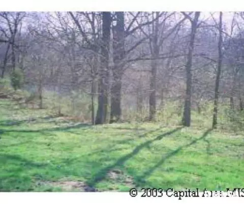 27 E Bluff Cir, Petersburg, IL 62675