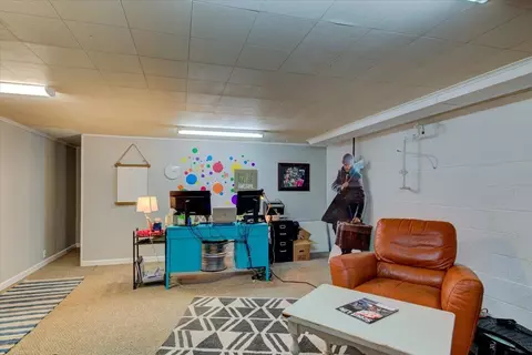 2920 S Park Ave, Springfield, IL 62704 photo 23