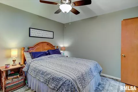 2920 S Park Ave, Springfield, IL 62704 photo 16