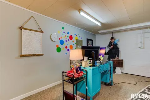 2920 S Park Ave, Springfield, IL 62704 photo 24