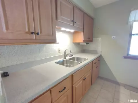3017 Trinity Ave, Springfield, IL 62702 photo 13