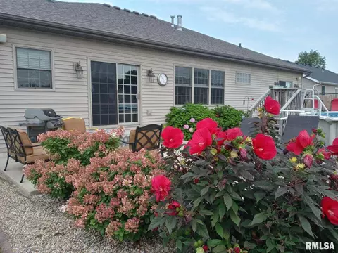 910 Lost Tree Dr, Sherman, IL 62684 photo 26