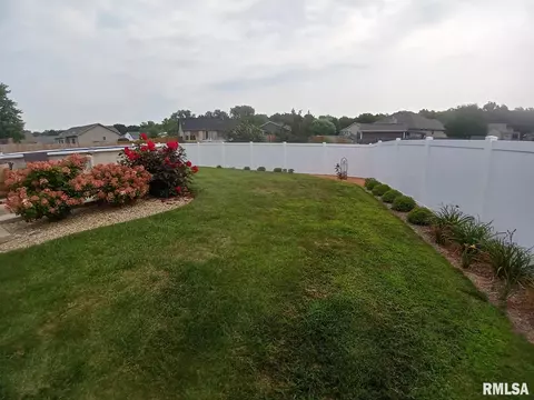 910 Lost Tree Dr, Sherman, IL 62684 photo 24