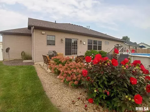 910 Lost Tree Dr, Sherman, IL 62684 photo 22
