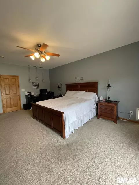 910 Lost Tree Dr, Sherman, IL 62684 photo 15