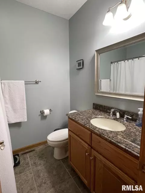 910 Lost Tree Dr, Sherman, IL 62684 photo 17