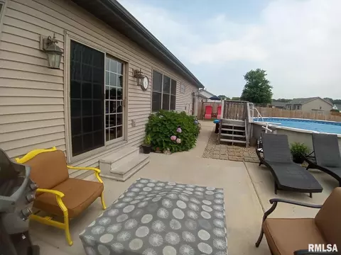 910 Lost Tree Dr, Sherman, IL 62684 photo 23