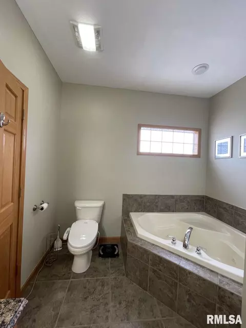 910 Lost Tree Dr, Sherman, IL 62684 photo 14