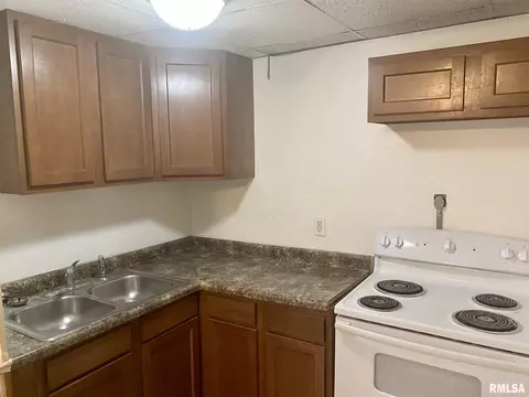 1703 Griffiths Ave, Springfield, IL 62702 photo 3