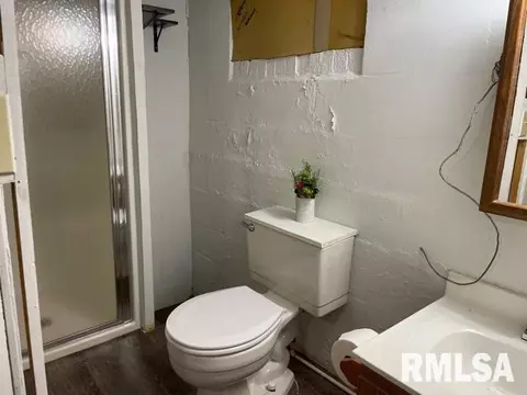 1913 E Keys Ave, Springfield, IL 62702 photo 19