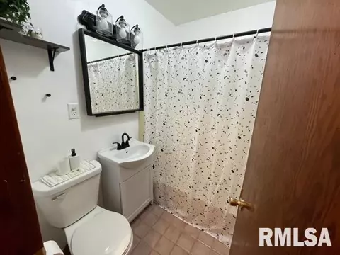1913 E Keys Ave, Springfield, IL 62702 photo 14