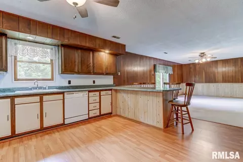 25876 Spaulding Rd, Greenview, IL 62642 photo 10