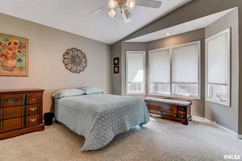 5003 Wildcat Run, Springfield, IL 62711 photo 24
