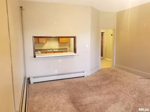 149 E Jackson St, Virden, IL 62690 photo 5