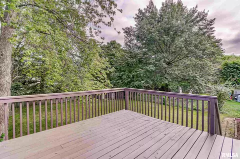 2013 Stockton Dr, Springfield, IL 62703 photo 38