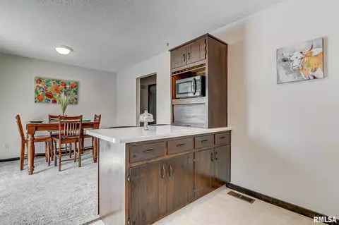 112 Veneto Villa, Springfield, IL 62703 photo 11