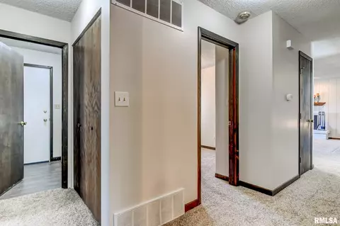 112 Veneto Villa, Springfield, IL 62703 photo 24
