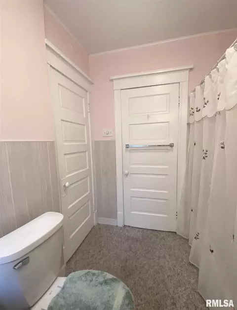 721 S Park Ave, Springfield, IL 62704 photo 33