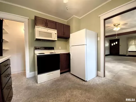 721 S Park Ave, Springfield, IL 62704 photo 19