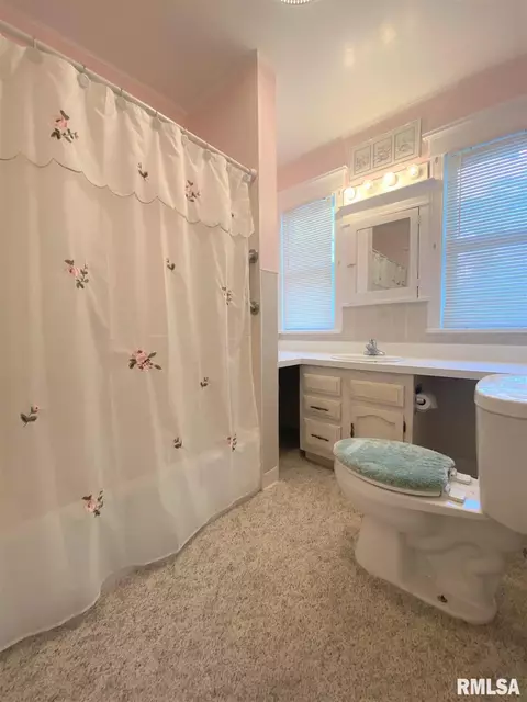 721 S Park Ave, Springfield, IL 62704 photo 30