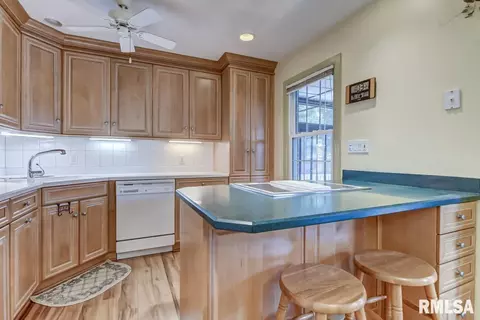 2208 Kaskaskia Dr, Springfield, IL 62702 photo 10