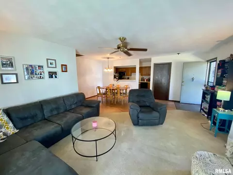 50 Brookside Pl, Springfield, IL 62704 photo 3