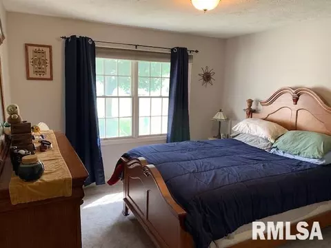 2409 Gander Rd, Springfield, IL 62711 photo 13