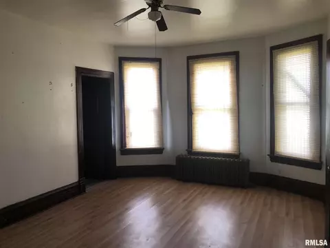 342 W Reynolds St, Springfield, IL 62702 photo 10