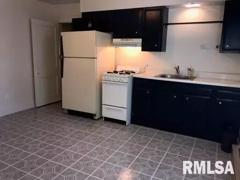 944 S Spring St, Springfield, IL 62704 photo 12