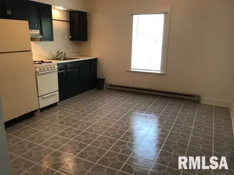 944 S Spring St, Springfield, IL 62704 photo 11