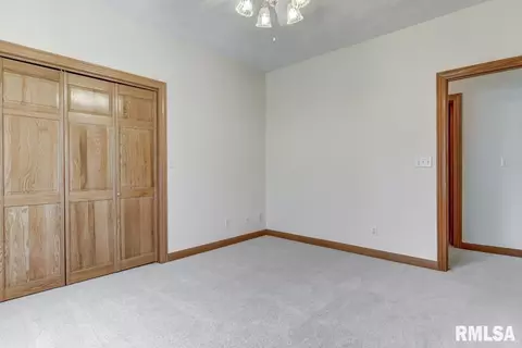 8 Chimney View Ln, Springfield, IL 62707 photo 26