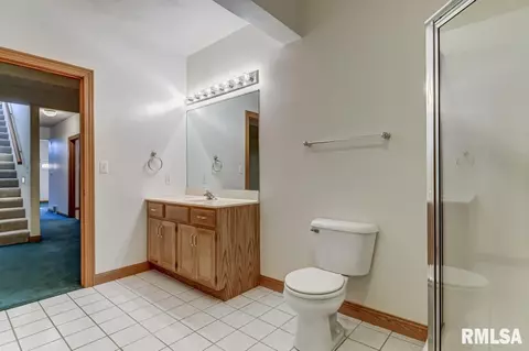 8 Chimney View Ln, Springfield, IL 62707 photo 42