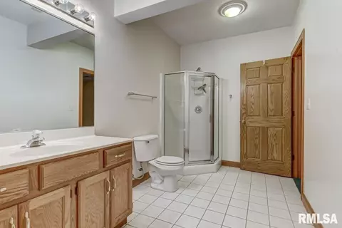 8 Chimney View Ln, Springfield, IL 62707 photo 43