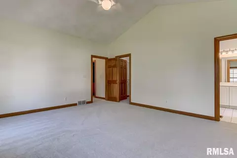 8 Chimney View Ln, Springfield, IL 62707 photo 22