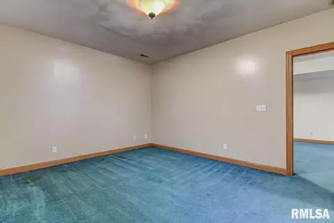 8 Chimney View Ln, Springfield, IL 62707 photo 39