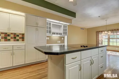 8 Chimney View Ln, Springfield, IL 62707 photo 18