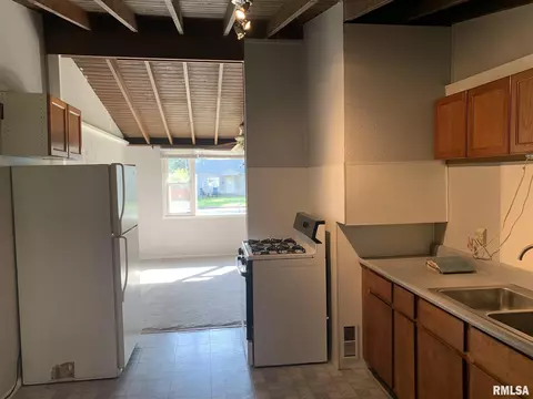 809 Indiana Ave, Springfield, IL 62702 photo 19