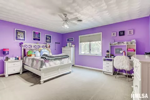 2529 Shawnee Dr, Springfield, IL 62702 photo 27