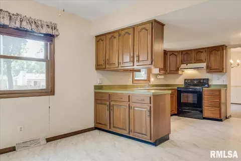 2916 Interlacken Dr, Springfield, IL 62704 photo 25