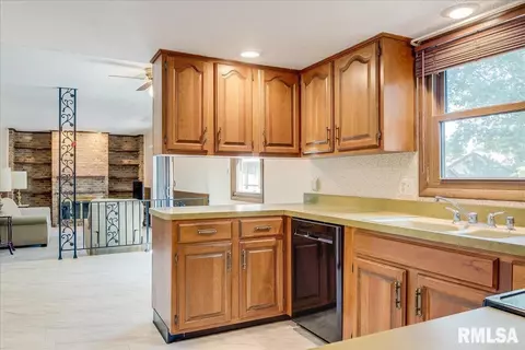 2916 Interlacken Dr, Springfield, IL 62704 photo 22