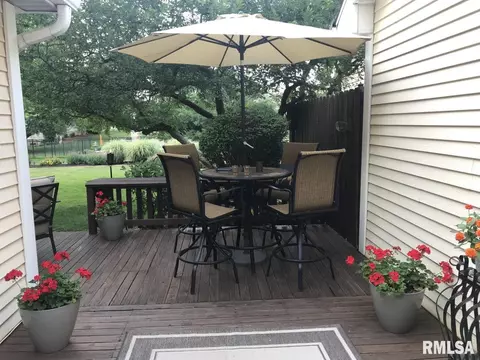 29 Chimney View Ln, Springfield, IL 62707 photo 46