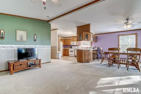 24246 Il State Route 111, Hettick, IL 62649 photo 6