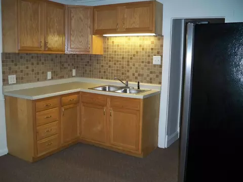 533 W Canedy St, Springfield, IL 62704 photo 4