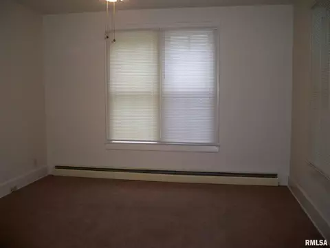 533 W Canedy St, Springfield, IL 62704 photo 5